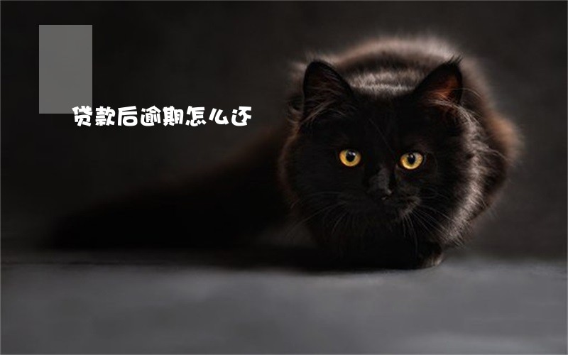 贷款后逾期怎么还 贷款后逾期怎么还