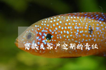 贷款员客户逾期的责任 贷款员客户逾期的责任