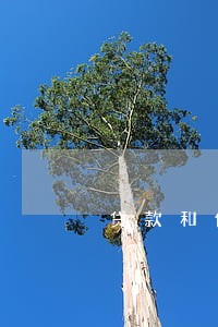 贷款和信用卡逾期 贷款和信用卡逾期