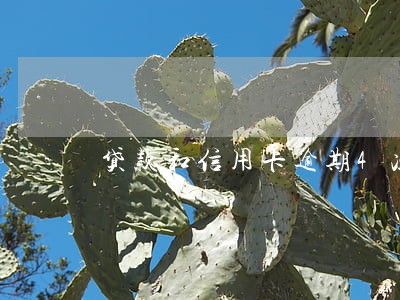 贷款和信用卡逾期4次 贷款和信用卡逾期4次