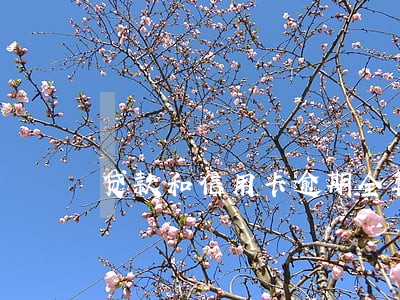 贷款和信用卡逾期全算犯罪吗 贷款和信用卡逾期全算犯罪吗