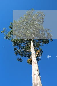 贷款和信用卡逾期的影响大吗 贷款和信用卡逾期的影响大吗