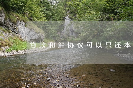 贷款和解协议可以只还本金吗 贷款和解协议可以只还本金吗