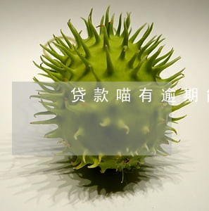 贷款喵有逾期能贷吗 贷款喵有逾期能贷吗