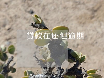 贷款在还但逾期 贷款在还但逾期