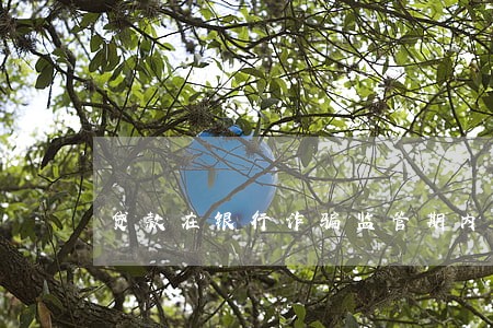 贷款在银行诈骗监管期内逾期 贷款在银行诈骗监管期内逾期