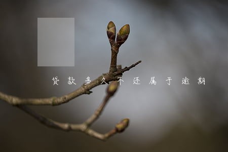 贷款多久不还属于逾期 贷款多久不还属于逾期