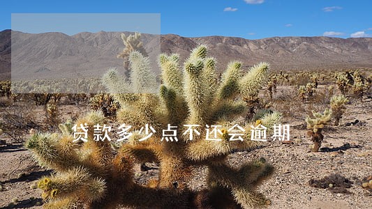 贷款多少点不还会逾期 贷款多少点不还会逾期