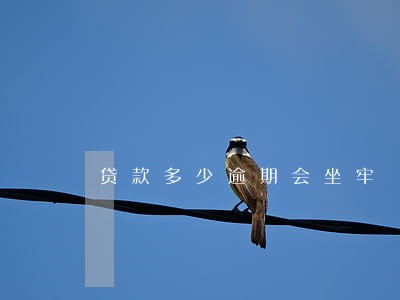 贷款多少逾期会坐牢 贷款多少逾期会坐牢
