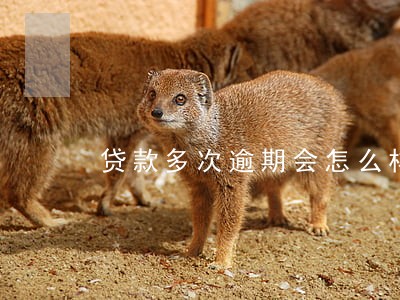 贷款多次逾期会怎么样 贷款多次逾期会怎么样