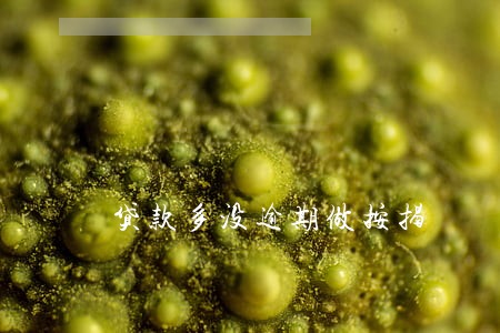 贷款多没逾期做按揭 贷款多没逾期做按揭