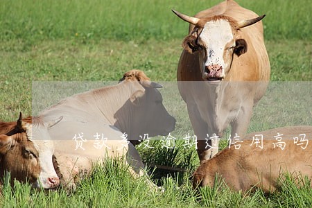 贷款多没逾期过信用高吗 贷款多没逾期过信用高吗