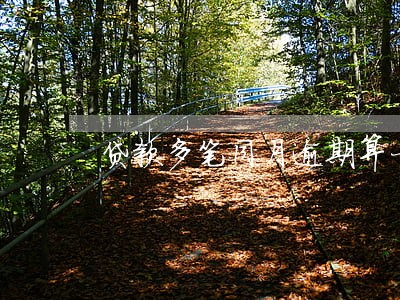 贷款多笔同月逾期算一笔逾期吗 贷款多笔同月逾期算一笔逾期吗