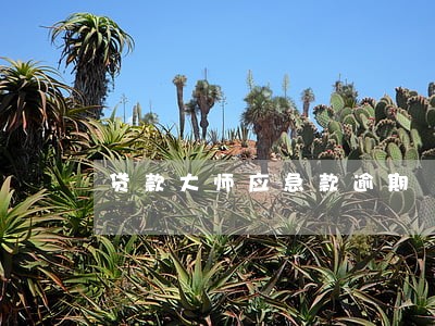 贷款大师应急款逾期 贷款大师应急款逾期