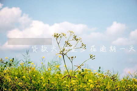 贷款大师爱多花逾期一天 贷款大师爱多花逾期一天