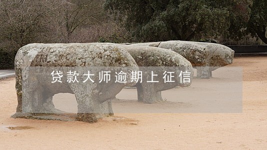 贷款大师逾期上征信
