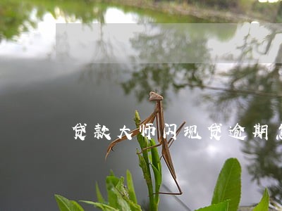 贷款大师闪现贷逾期怎么办 贷款大师闪现贷逾期怎么办