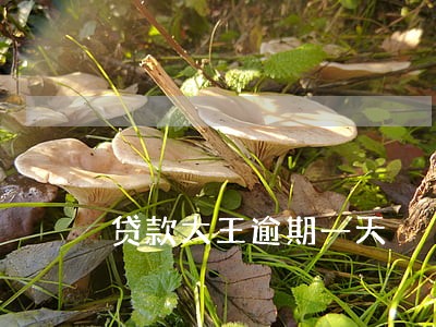 贷款大王逾期一天 贷款大王逾期一天