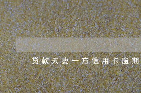 贷款夫妻一方信用卡逾期 贷款夫妻一方信用卡逾期