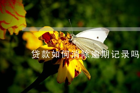 贷款如何消除逾期记录吗 贷款如何消除逾期记录吗