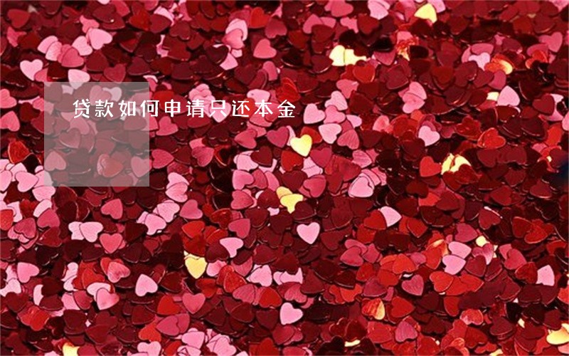 贷款如何申请只还本金