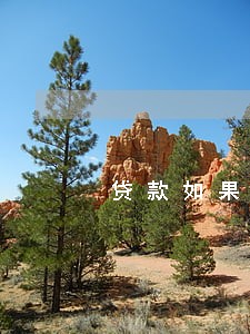 贷款如果逾期了会咋样 贷款如果逾期了会咋样