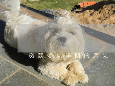 贷款如果逾期的后果 贷款如果逾期的后果