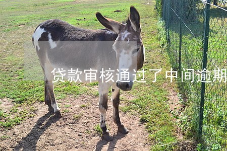贷款审核通过了中间逾期了 贷款审核通过了中间逾期了