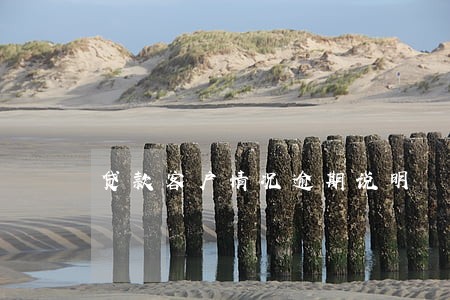 贷款客户情况逾期说明 贷款客户情况逾期说明
