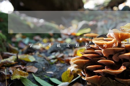 贷款导致逾期不良的原因 贷款导致逾期不良的原因