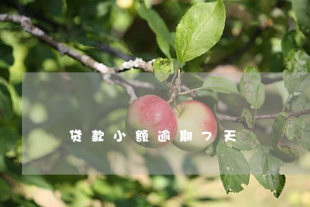 贷款小额逾期7天 贷款小额逾期7天