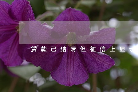 贷款已结清但征信上显示逾期6 贷款已结清但征信上显示逾期6