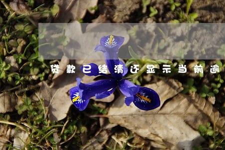 贷款已结清还显示当前逾期 贷款已结清还显示当前逾期