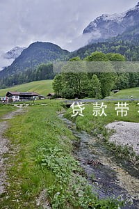 贷款带不下来信用逾期 贷款带不下来信用逾期