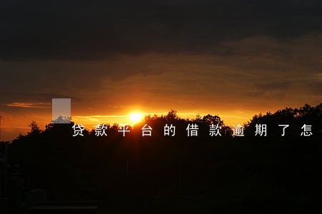贷款平台的借款逾期了怎么办 贷款平台的借款逾期了怎么办
