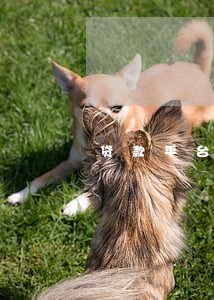 贷款平台的原因导致逾期 贷款平台的原因导致逾期