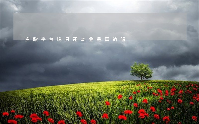 贷款平台说只还本金是真的吗 贷款平台说只还本金是真的吗