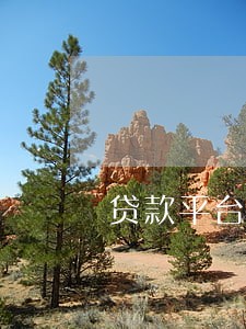 贷款平台逾期会天天打电话吗 贷款平台逾期会天天打电话吗