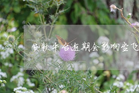 贷款平台逾期会影响坐飞机嘛 贷款平台逾期会影响坐飞机嘛
