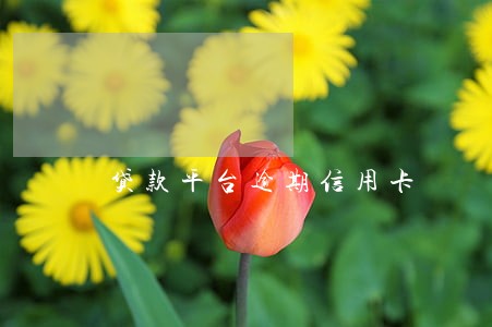 贷款平台逾期信用卡 贷款平台逾期信用卡