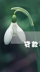 贷款平台逾期催收 贷款平台逾期催收