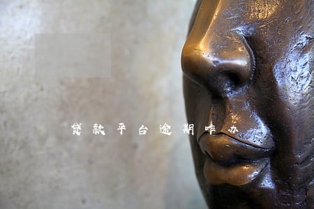 贷款平台逾期咋办 贷款平台逾期咋办