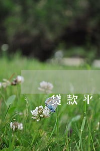 贷款平台逾期遭到威胁 贷款平台逾期遭到威胁