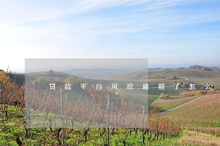 贷款平台风控逾期了怎么办