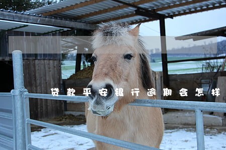 贷款平安银行逾期会怎样 贷款平安银行逾期会怎样