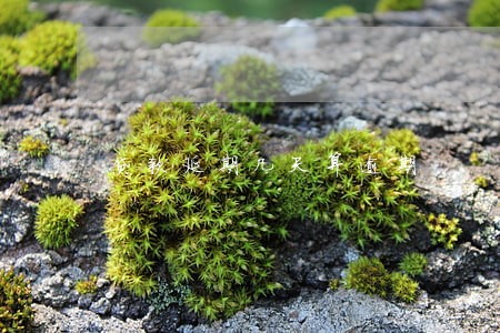 贷款延期几天算逾期 贷款延期几天算逾期