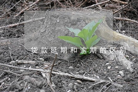 贷款延期和逾期的区别 贷款延期和逾期的区别