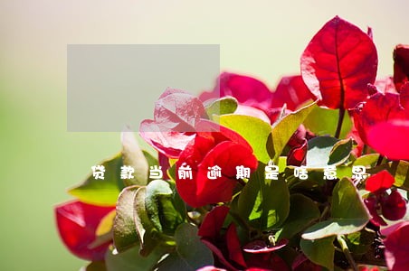 贷款当前逾期是啥意思 贷款当前逾期是啥意思
