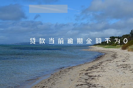 贷款当前逾期金额不为0 贷款当前逾期金额不为0