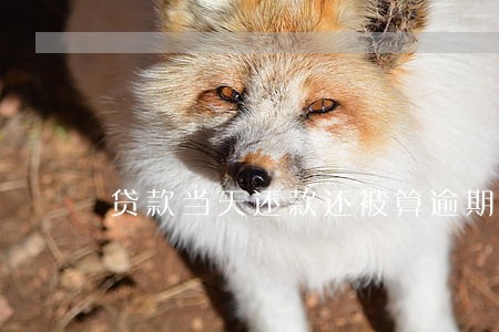 贷款当天还款还被算逾期 贷款当天还款还被算逾期